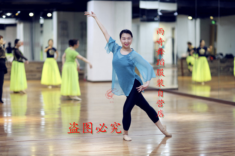 周雨奇古典舞蹈服玉壶冰心表演服薄纱衣练功服仙女身韵基训艺考服