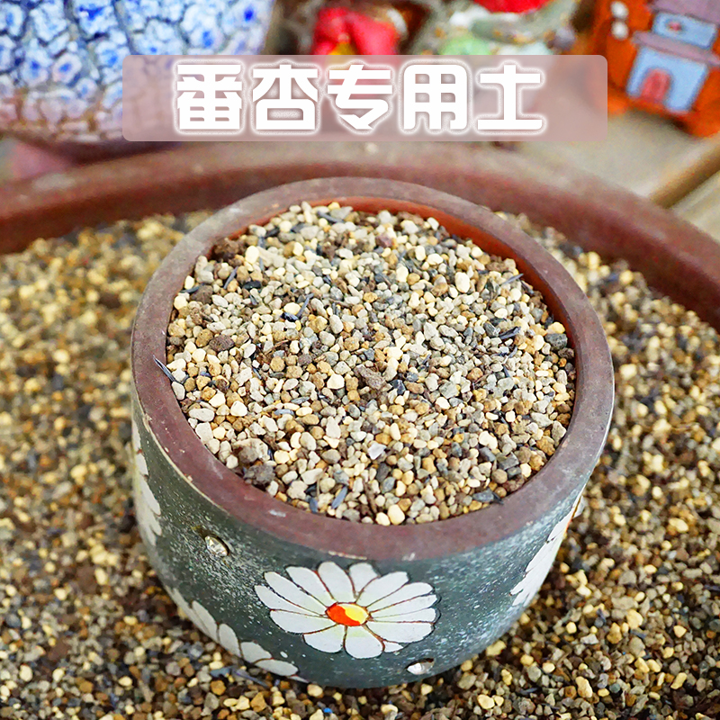 生石花多肉土老桩种植栽培基质