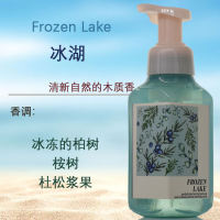 BBW Foam Hand Sanitizer Christmas Limited Edition is gentle on hands, moisturizing, long-lasting, and fragrant bath&body works thumbnail 2