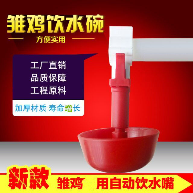 小鸡饮水器雏鸡饮水碗喂水器鸡苗鸭苗鹅苗自动饮水器鸽子鸟喂水碗