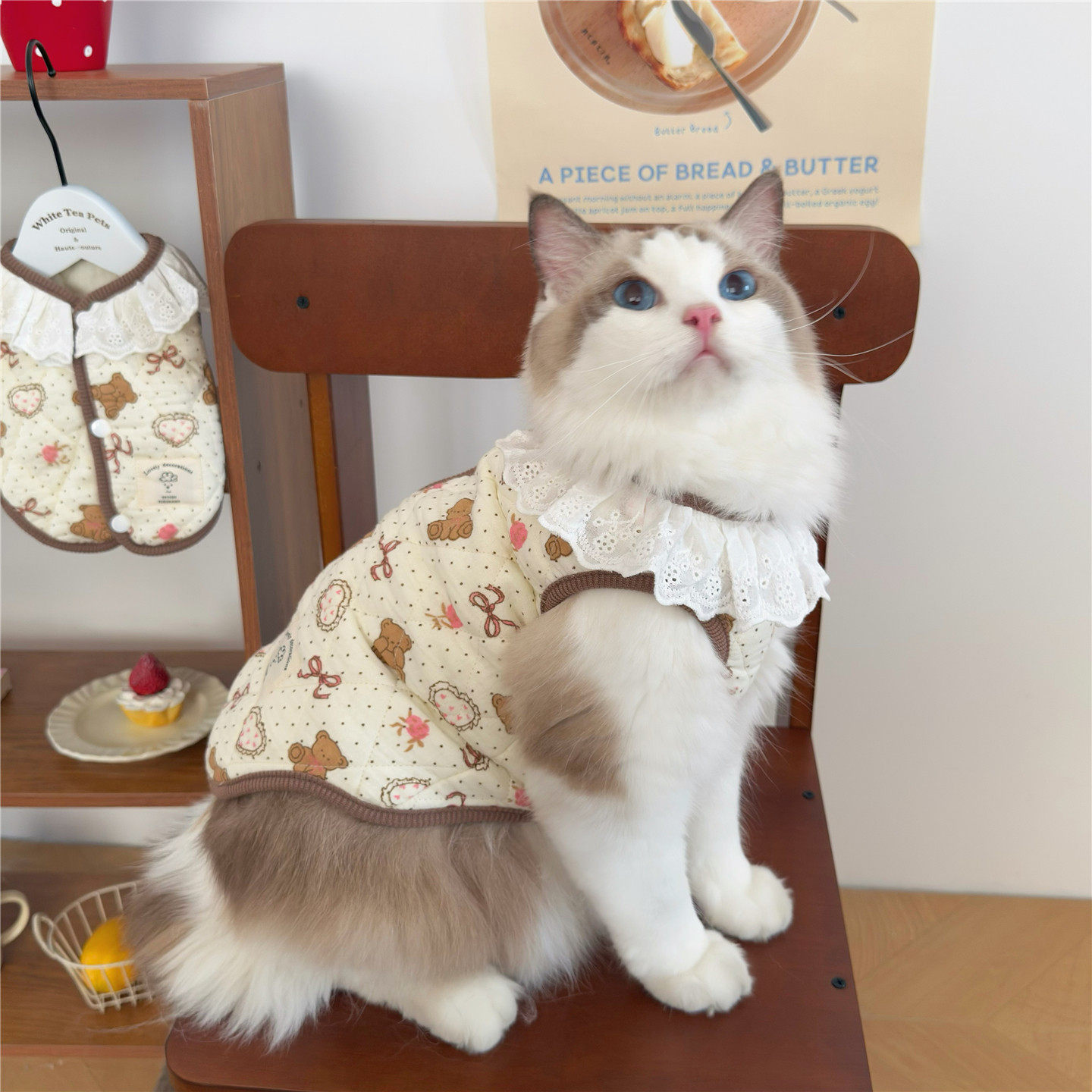 纯棉防静电秋冬季保暖宠物狗狗猫咪衣服 英美短金银渐层小猫马甲