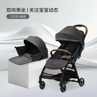 Space Grey - Classic + Sleepply Basket D1801