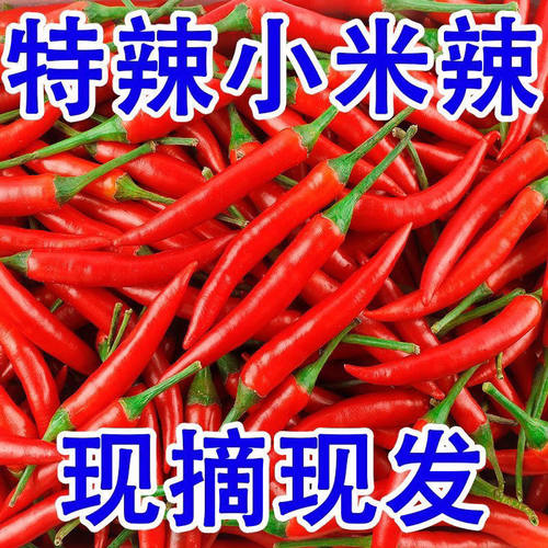 云南新鲜小米辣椒朝天椒