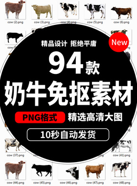 奶牛小老公野黄牛png免抠扣图片动物牲畜ps设计透明插图素材b086