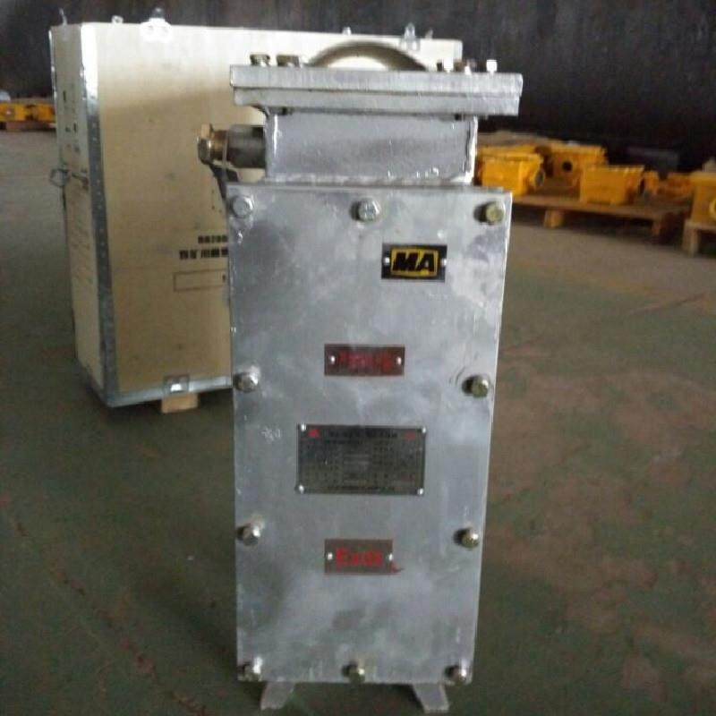 防爆电热油汀 防爆电暖气 防水防爆电暖气 防爆取暖器 防爆暖风机