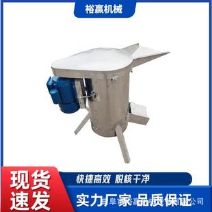 山杏去皮去核机 全自动水果核肉分离机 不锈钢酸枣余甘子脱核机
