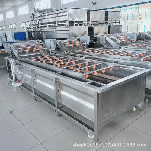 新品供用蒜台蒜苗气泡清洗机大蒜高压喷淋去泥去污多功能清洗机