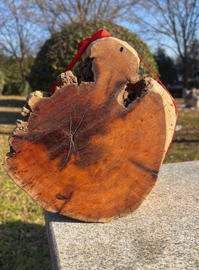 正品保真雷击枣木原木雷头枝原料百年老树龄无事牌手串料子非金属