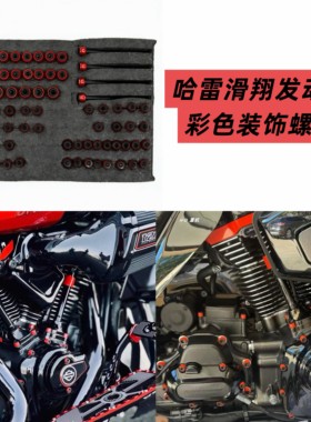 适用哈雷117大滑翔大道公路滑翔121CVOST路王改装发动机彩色螺丝
