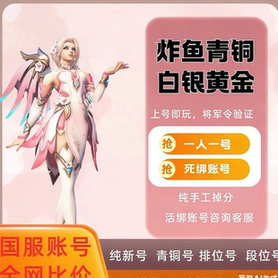 守望先锋国服ow2排位号炸鱼号全英雄青铜白银黄金铂金账号