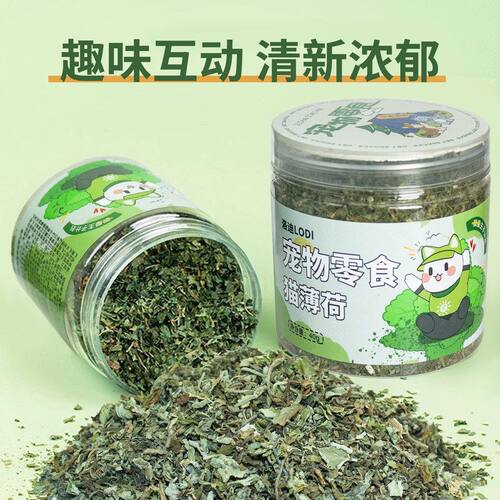 猫薄荷猫草叶猫咪零食逗小猫互动高品质一件代发宠物用品食品