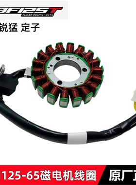 适用新大洲本田SDH125-65电喷CBF125T锐猛太子定子磁电机线圈原装