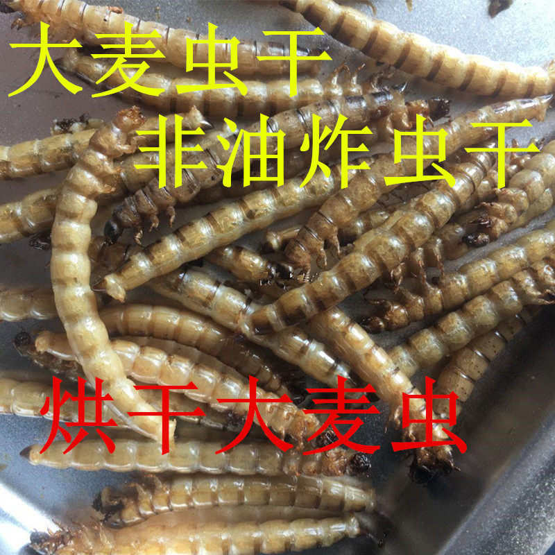 烘干大麦虫大蛋白虫干品地图鱼粮食龙鱼龟仓鼠罗汉血鹦鹉饲料500g