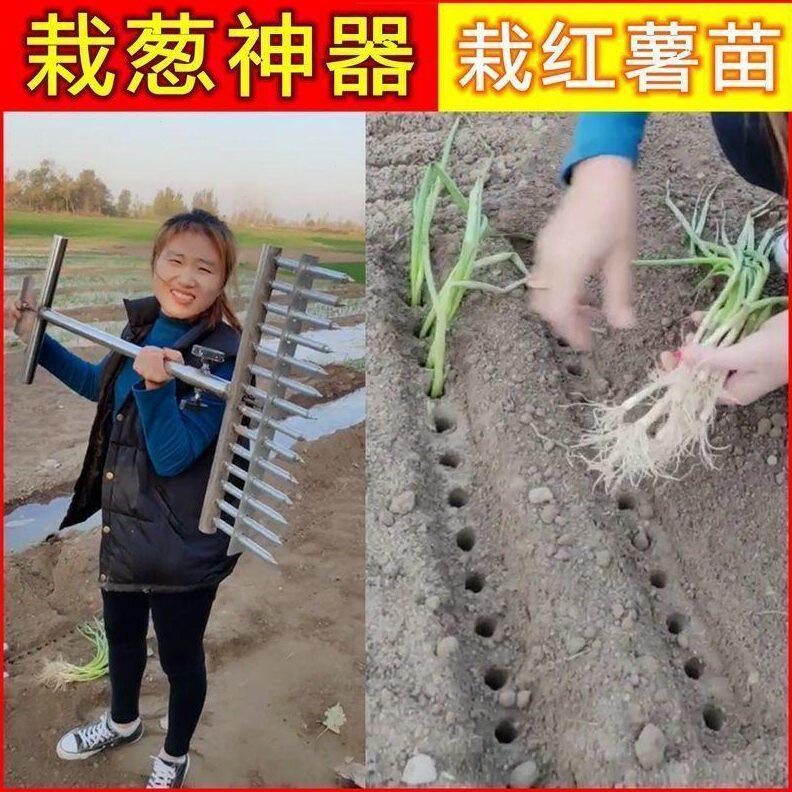 栽葱打孔工具大葱叉子种葱神器栽葱叉子栽葱神器插孔器大葱插眼器