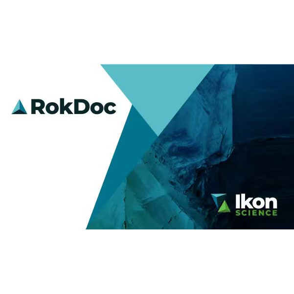 RokDoc 岩石物理综合分析仿真