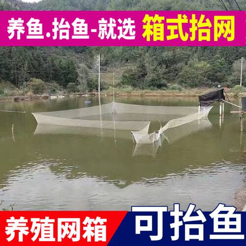 尼龙箱式抬网10米15米20米抬网渔网电动抬网新款地网加厚电动渔网