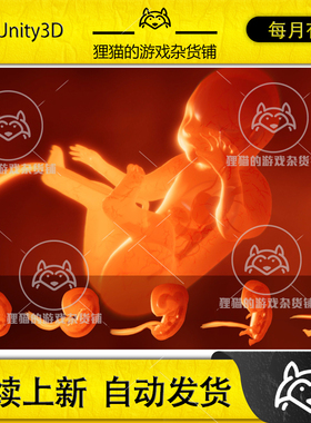 Unity Human embryo with internal organs Animation 胎儿 1.1