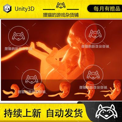 Unity Human embryo with internal organs Animation 胎儿 1.1