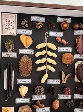 植物标本侘寂客厅防尘挂画情人节礼物原创好事花生创意礼物入户画