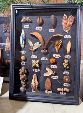 植物标本原创伴手礼生日礼物送同学老师朋友装饰百搭小众设计款