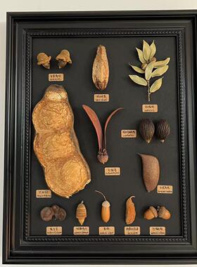 都听手作艺术摆件液压杆电表箱遮挡装饰画原创植物标本相框