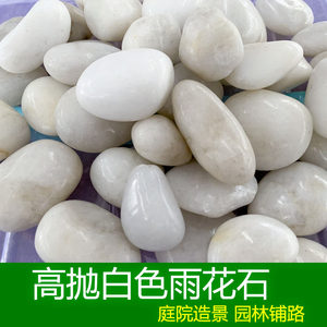 白色大雨花石价格 白色大雨花石图片 星期三 白色大雨花石价格 白色大雨花石图片 星期三