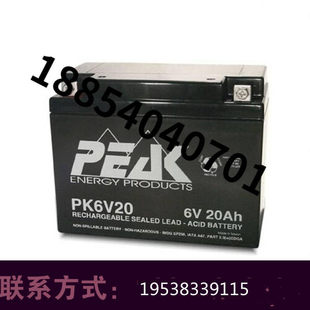 机房UPS 免维护直流屏 12V17AH 法国进口电源 PEAK蓄电池PK12V17