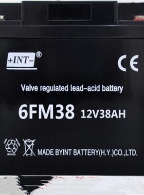 INT蓄电池6FM38 12V38AH紧急电源UPS专用配电房直流屏系统UPS/EPS