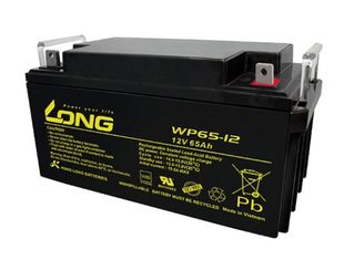 12不间断电源光伏系统消防应急机房12V65AH铅酸 LONG隆蓄电池WP65