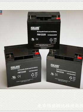 SEALKE海湖蓄电池FM12330电厂基站12V33AH消防系统免维护电瓶机房