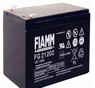 FIAMM非凡蓄电池FG21202船舶消防门禁电源12V12AH进口设备照明用