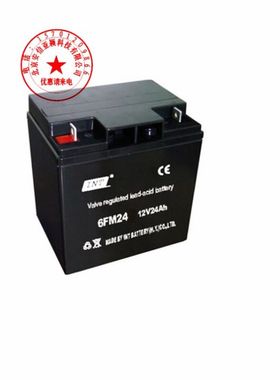 INT蓄电池6FM24光伏发电 铅酸电瓶 紧急电源直流屏专用12V24AHUPS