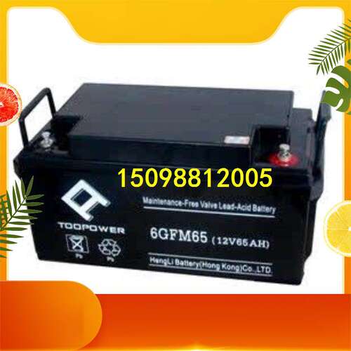 新款 TOOPOWER(）蓄电池12VAH 天力6GFM65 后备应急电源设备专用