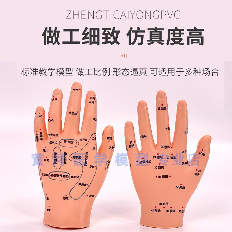 Acupoint Dummy Acupuncture Acupoint Mannequin-Needle Full Body Traditional Chinese Medicine Human Model Meridian for Teaching Copper Villain