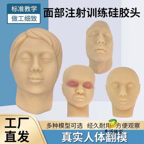黄和模型微整形硅胶头模教学