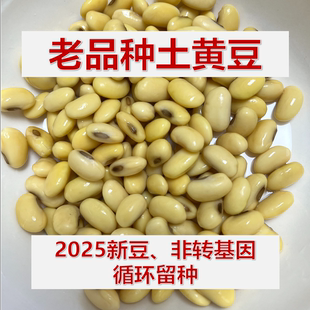 黄豆农家自种老品种打豆浆可留种非转基因2025新五谷杂粮 组合