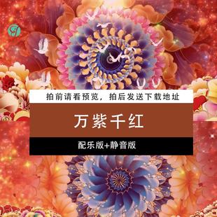 万紫千红 喜庆春晚开场舞节目演出大屏幕LED舞美背景视频素材