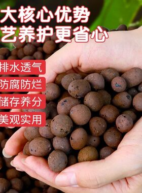 小号陶粒10斤装多肉专用 拌土铺面通用 无肥料不烂根