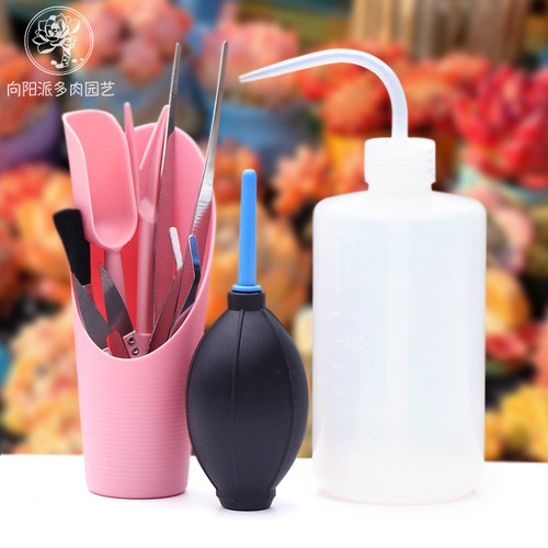 新手多肉植物种植工具套装地垫