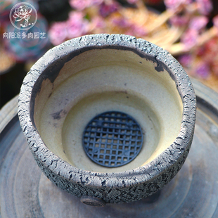 花盆底孔垫片防漏土圆形塑料黑色垫多肉植物花卉绿植 向阳派 包邮