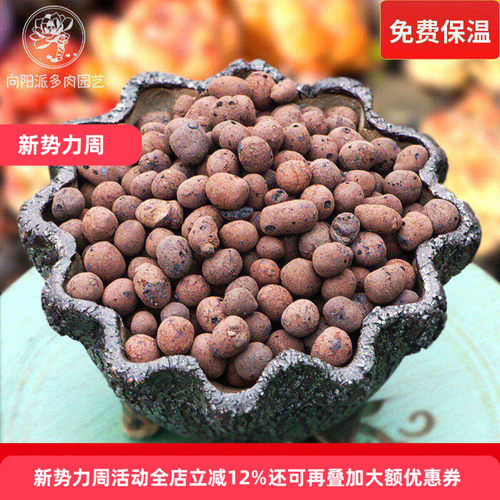 轻质空心陶粒陶土透气向阳派花卉