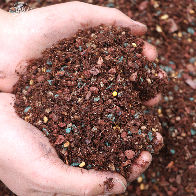 50%颗粒配方土小苗土叶插土