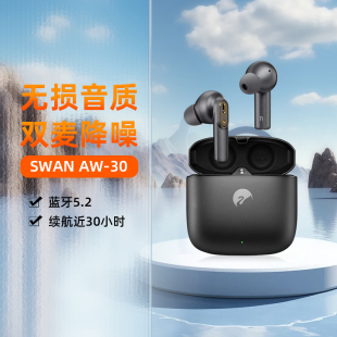 SWAN惠威AW 30真无线蓝牙5.2入耳式 耳机高通芯片长续航运动跑步