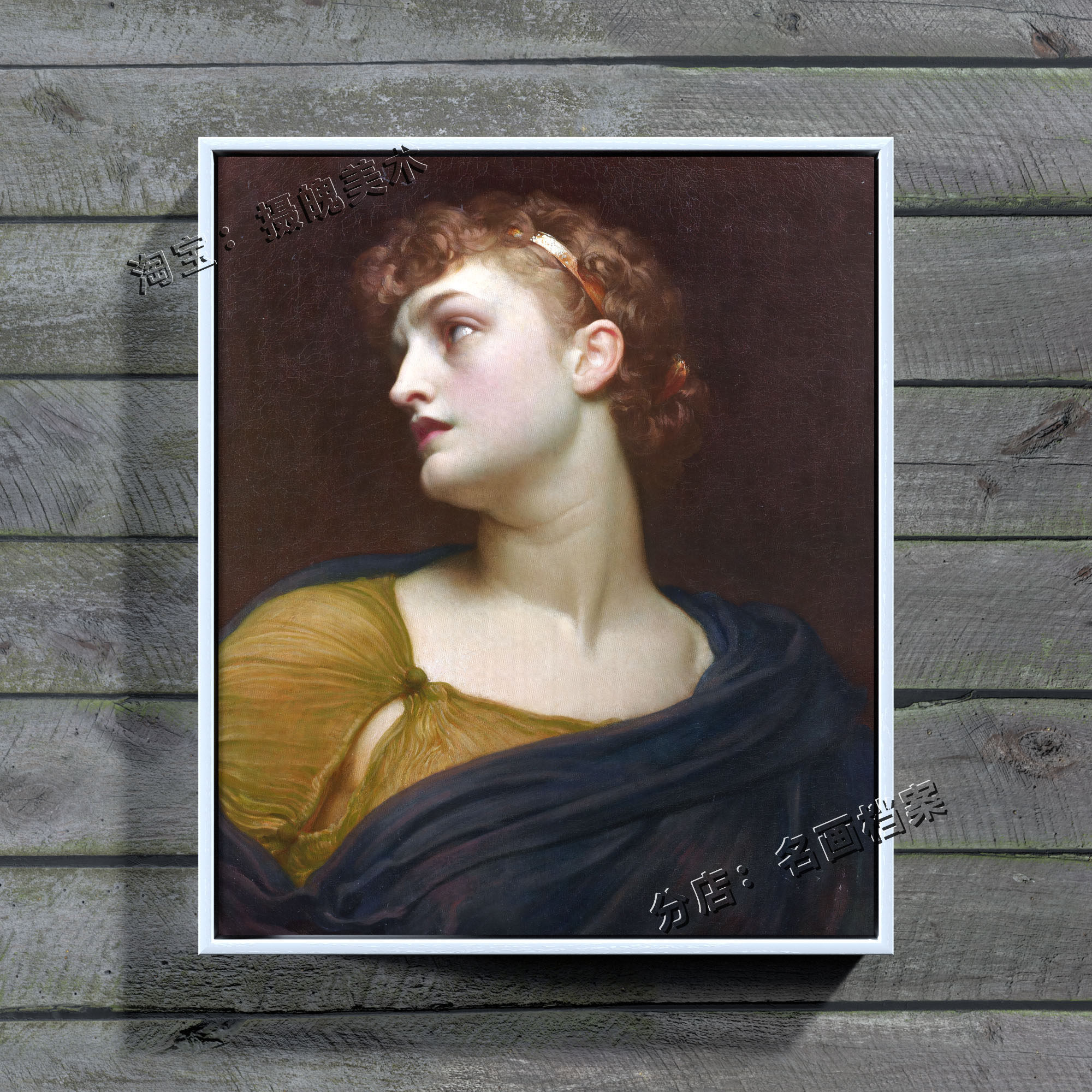 安提戈涅 antigone 古典女人 索福克勒斯 古希腊 戏剧 人物 挂画