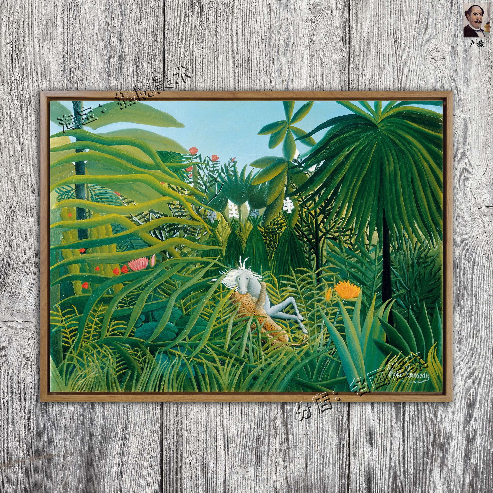 被美洲豹攻击的马 jaguar attacking a horse 卢梭雨林动物呆萌画