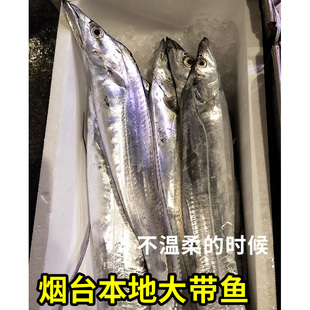 大号新鲜渤海湾带鱼野生刀鱼深海捕捞海鲜特级特大整条鲜活带鱼