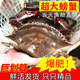 保鲜不保活 莱州湾梭子蟹大飞蟹全母蟹满黄红膏蟹螃蟹海蟹
