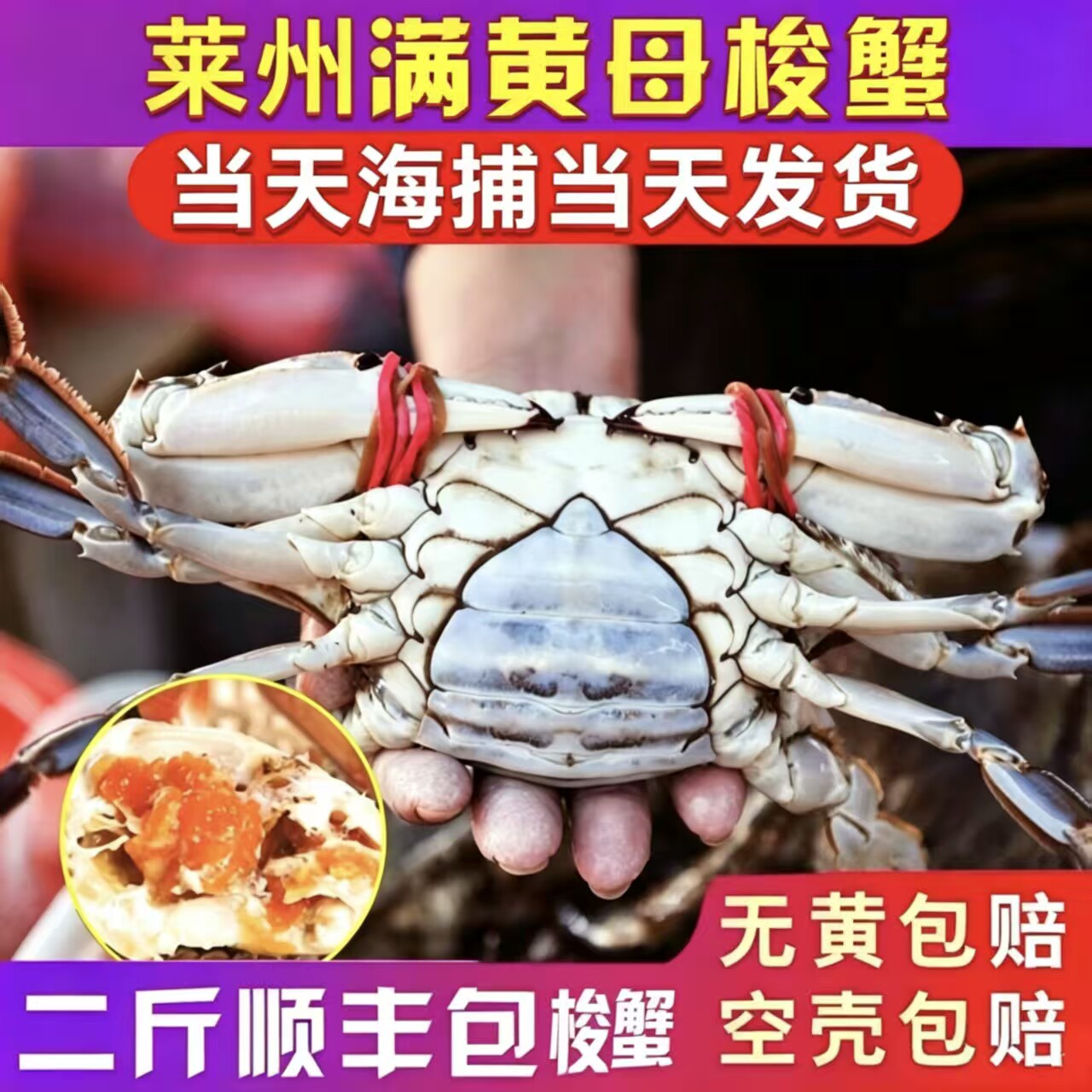 【保鲜不保活】山东莱州梭子蟹活鲜海捕飞蟹渔船直供海蟹生鲜水产