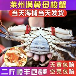 【保鲜不保活】山东莱州梭子蟹活鲜海捕飞蟹渔船直供海蟹生鲜水产