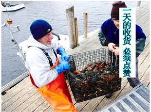 龙虾波士顿大龙虾鲜活特大波龙奥龙波斯顿海鲜水产活虾2只波龙虾